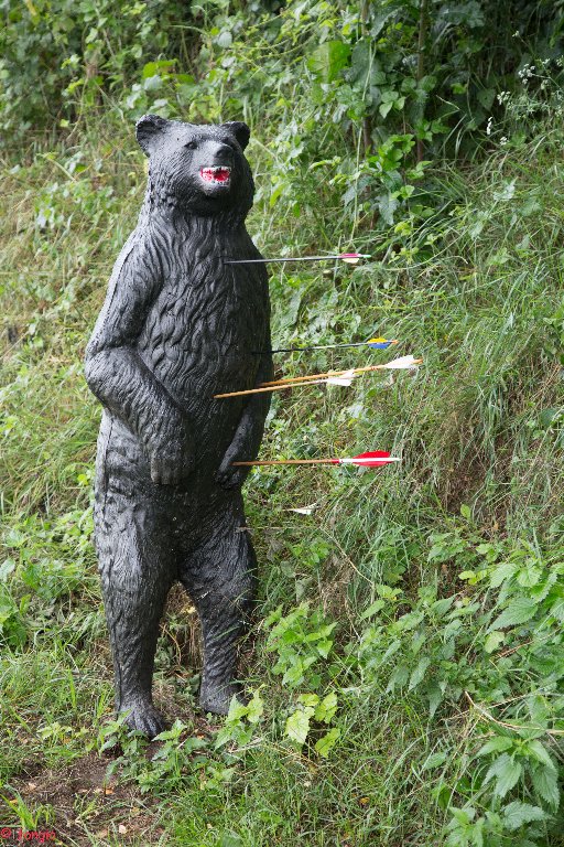 6A7A1497canc_512x768