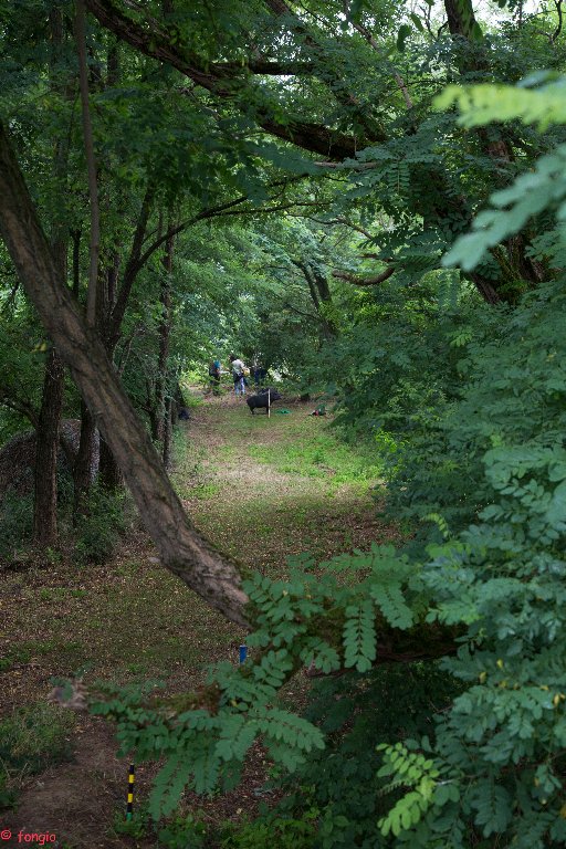 6A7A1516canc_512x768