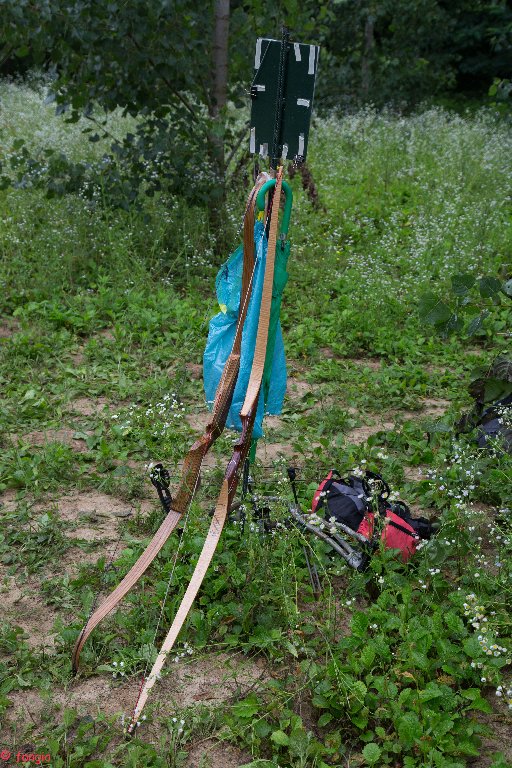 6A7A1530canc_512x768