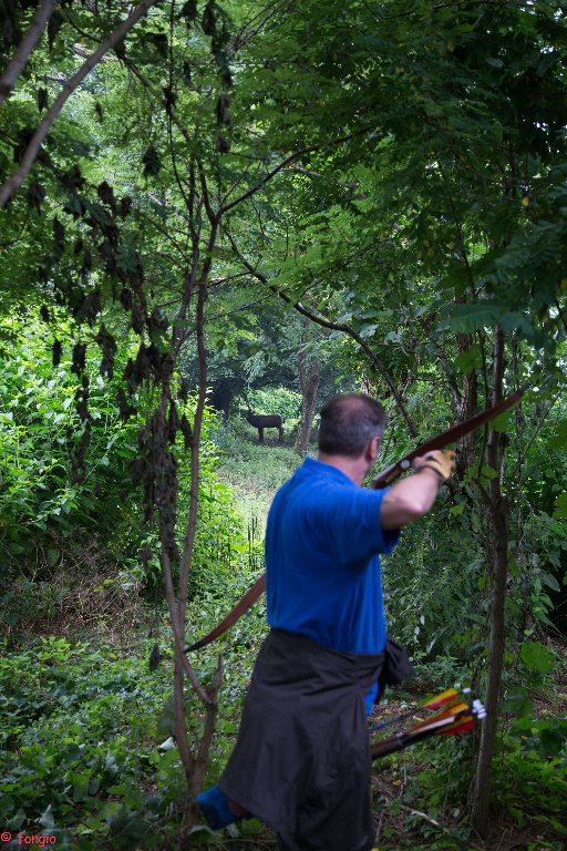 6A7A1534canc_512x768