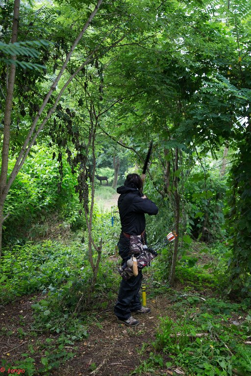 6A7A1537canc_512x768