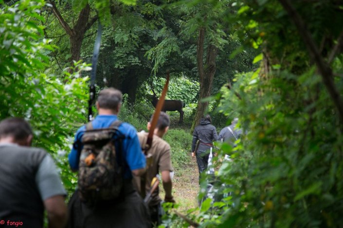 6A7A1540canc_1024x682