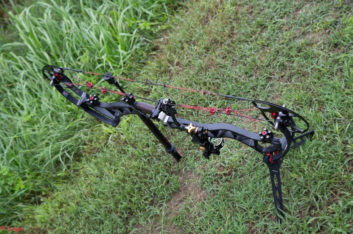 6A7A1572canc_1024x682