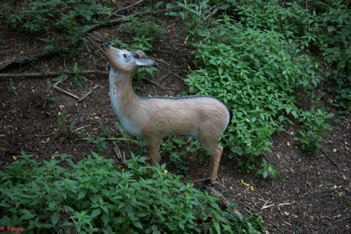 6A7A1618canc_1024x682