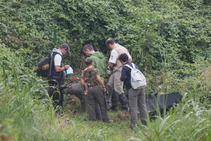 IMG_2601canc_1024x682