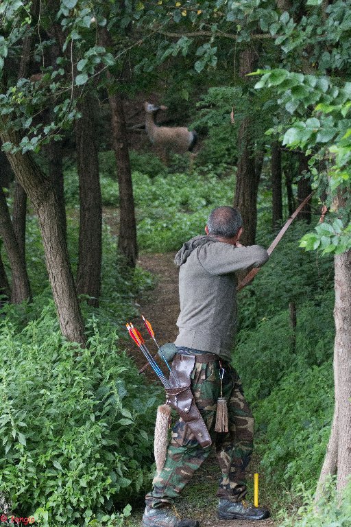 IMG_2634canc_512x768