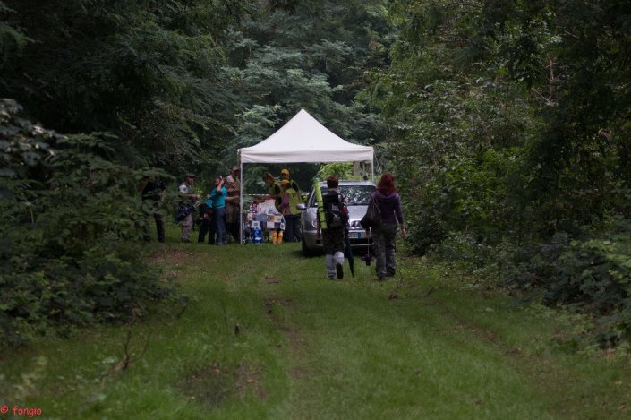 IMG_2636canc_1024x682