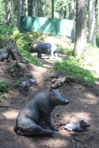 Piazzola Cinghialoni