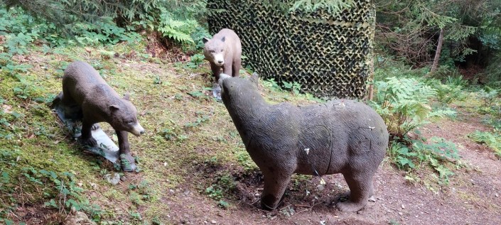 20220727_095014 (Medium)